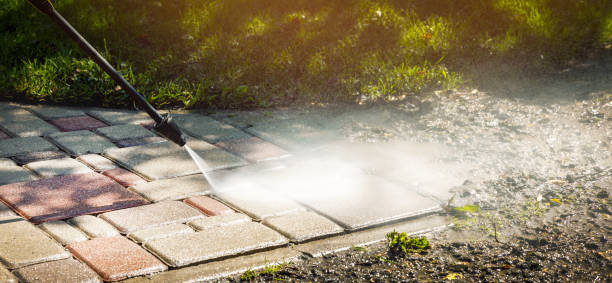 Best Animal Enclosure Cleaning  in Avon, MN