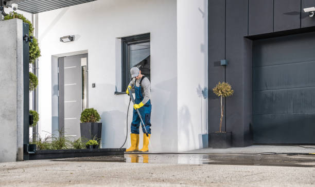 Best Solar Panel Cleaning  in Avon, MN